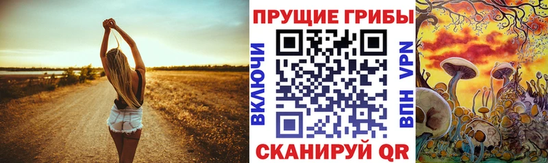 Псилоцибиновые грибы Magic Shrooms  Купить закладки  Глазов 